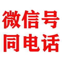 乐东金典讨债公司